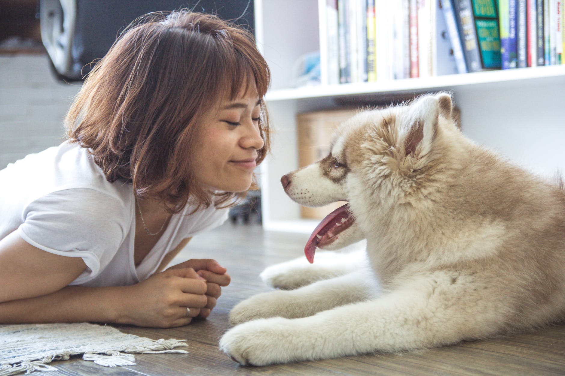 10 Creative Ways to Volunteer with Animals