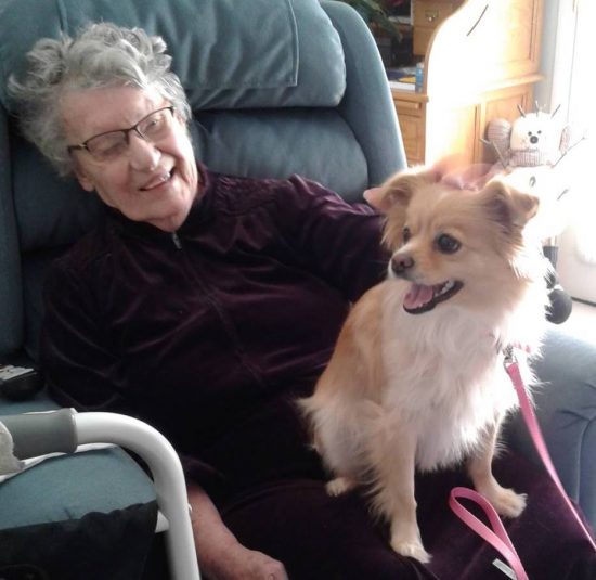 Therapy Dogs Visiting Homebound Seniors 